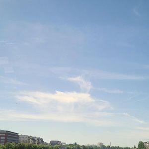 Meet your Posher, Rose